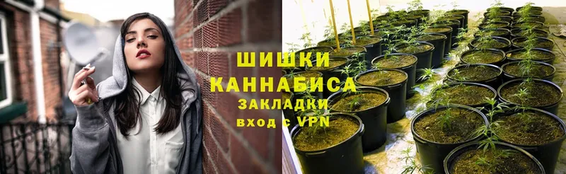 наркота  Рубцовск  Канабис OG Kush 